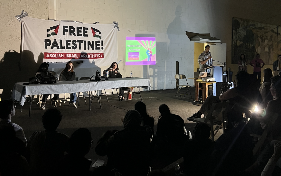 November Newsletter: Free Palestine, Support Noncitizen Voting